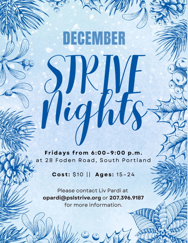STRIVE_Night_&mdash;_December.png